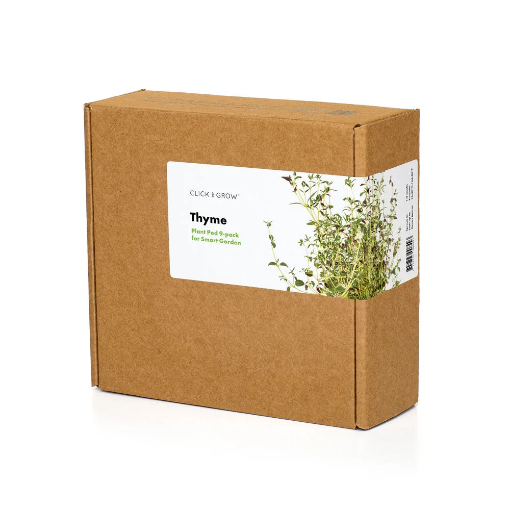 Thymian Pflanzkapsel 3er-Pack in brauner Kartonbox
