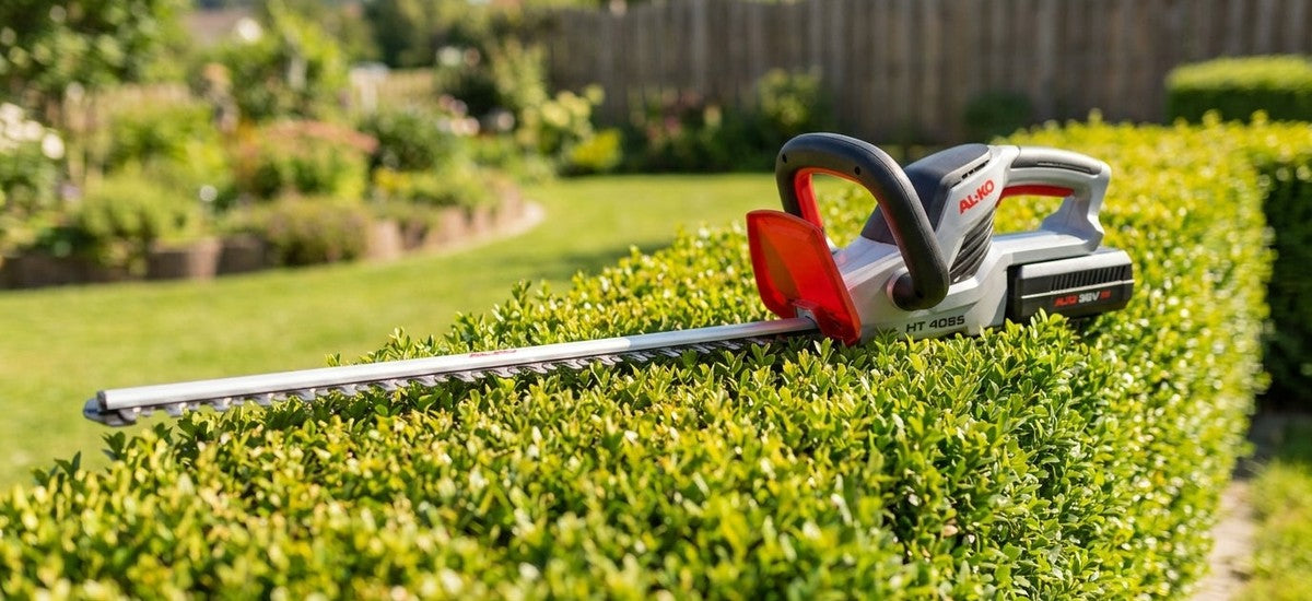 Ratgeber: Akku-Heckenschere AL-KO HT 4055 beim Formschnitt einer Gartenhecke – NIVAROQ