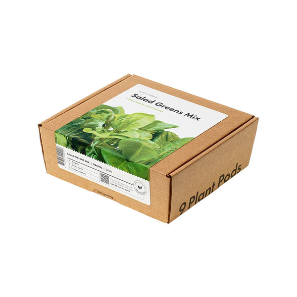 Pflanzkapsel-Set Blattsalate-Mix, 9er Packung in brauner Kartonbox