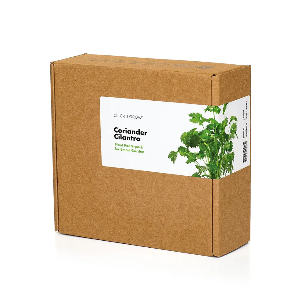 Click & grow Kartonpackung für Koriander, 3 Pflanzen-Kapseln