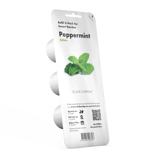 Click & grow Plant Capsule Peppermint Pack of 3