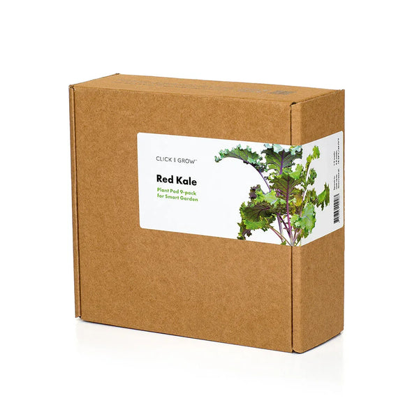 Pflanzkapsel-Box für Rotkohl, 9er Packung
