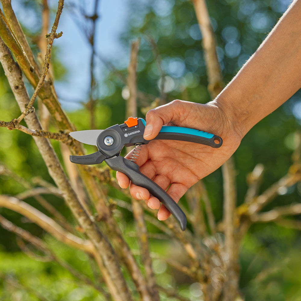 Gartenschere in Hand, blaue Griffe, orange Teil, zum Schneiden trockener Äste